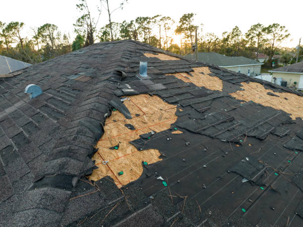 Best Roof Maintenance and Cleaning  in Donald, OR