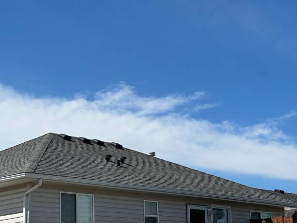 Best Rubber Roofing (EPDM, TPO)  in Donald, OR
